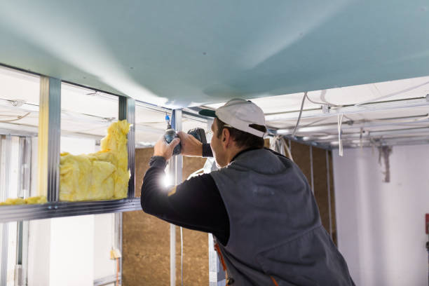 Best Spray Foam Insulation  in Wildwood, TN