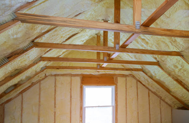 Best Insulation Contractors for Homes  in Wildwood, TN