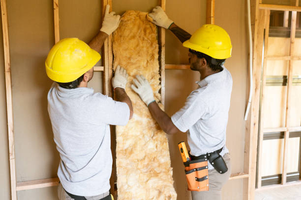 Best Affordable Insulation Services  in Wildwood, TN